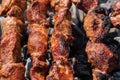 Barbecue cooking on skewers on charcoal grill with fire smoke. Close-up Royalty Free Stock Photo