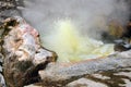 Cooking sweet corn in thermal springs. Travel to Furnas, San Miguel, Azores.Furnas is a valley of geysers and fumaroles, thermal