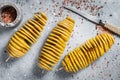 Cooking Tornado or Twist potato fries. Gray background. Top view Royalty Free Stock Photo