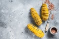 Cooking Tornado or Twist potato fries. Gray background. Top view. Copy space Royalty Free Stock Photo