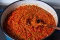 Cooking traditional Balkan food Ajvar on stove in big pot