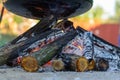 Cooking Traditional Hungarian fish soup