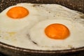 Fryed egg on frying pan Royalty Free Stock Photo