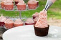 Cooking Vanila Cupcake Royalty Free Stock Photo