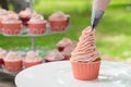 Cooking Vanila Cupcake Royalty Free Stock Photo