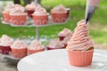 Cooking Vanila Cupcake Royalty Free Stock Photo