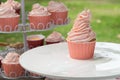 Cooking Vanila Cupcake Royalty Free Stock Photo