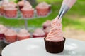 Cooking Vanila Cupcake Royalty Free Stock Photo