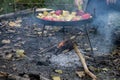 Cooking vegetables on the fire in the forest in autumn Royalty Free Stock Photo