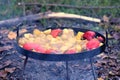 Cooking vegetables on the fire in the forest in autumn Royalty Free Stock Photo
