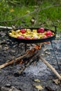 Cooking vegetables on the fire in the forest in autumn Royalty Free Stock Photo
