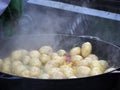 Cooking vegetables in large cast iron cauldron Royalty Free Stock Photo