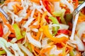 Cooking vegetarian salad with fresh raw vegetables white cabbage, carrots, red and green bell peppers healthy food Concept. Royalty Free Stock Photo