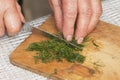 Cooking: woman hands cutting dill Royalty Free Stock Photo