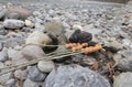 Cooking wurstel during the boy scout camp near the bank of a riv