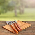 Cookout, Picnic Or BBQ Party Concept With Grill Tools Royalty Free Stock Photo