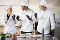 Cooks with different nationalties tasting cooked meals for restaurant menu Royalty Free Stock Photo