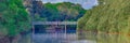 Cooks River sprawling with wildlife and Mangrove trees along the river bank in an inner Suburb of Western Sydney NSW Australia