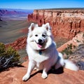 Cool American Eskimo Dog sitting on a cliff overlooking a breathing canyon