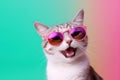 colourful cute pet animal sunglasses cat portrait funny neon fashion. Generative AI.