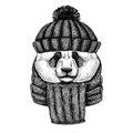 Bamboo bear. Panda. Cool animal wearing knitted winter hat. Warm headdress beanie Christmas cap for tattoo, t-shirt