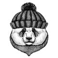 Bamboo bear. Panda. Cool animal wearing knitted winter hat. Warm headdress beanie Christmas cap for tattoo, t-shirt