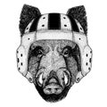 Cool animal wearing rugby helmet Extreme sport game Aper, boar, hog, wild boar Hand drawn image for t-shirt, tattoo