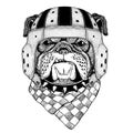 Cool animal wearing rugby helmet Extreme sport game Bulldog Hand drawn vintage image for t-shirt, tattoo, emblem, badge Royalty Free Stock Photo