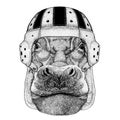 Cool animal wearing rugby helmet Extreme sport game Hippo, Hippopotamus, behemoth, river-horse t-shirt, tattoo, emblem