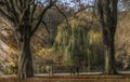 cool autumn morning on a bench in the park