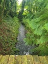 A cool beautiful english stream Royalty Free Stock Photo