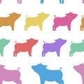 Cool seamless pattern from silhouettes of pigs of different colo