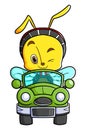 The cool bee is driving a car while winking Royalty Free Stock Photo