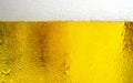 Cool beers with beer bubbles on top a glass at the party or congratulations party or holiday , weekend time , relax time. A man