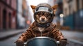 A cool biker dog takes the road by storm on