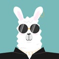 Cool biker lama or alpaca with dark leather jacket and black sunglasses. Isolated on blue background. Vector Flat illustration