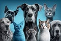 On a cool blue backdrop, there are amusing gray cats and cheerful looking dogs. AI