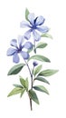 Cool Blue Periwinkle Bundle in Modern Style on White Background .