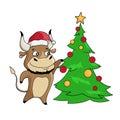 Cool bull in a santa hat decorating Christmas tree. Symbol of 2021. Vector illustration Royalty Free Stock Photo