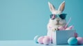 Cool Bunny with Easter Eggs Royalty Free Stock Photo