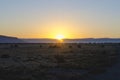 A cool calm country road sunset Royalty Free Stock Photo