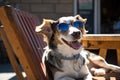 Cool Canine Enjoying Summer Sun in Iconic Sunglasses, generative AI