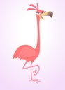 Cool carton pink flamingo bird. Vector illustration isolated. Poster design of sticker. Royalty Free Stock Photo