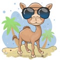 Cartoon Camel with sun glasses is standing on the sand