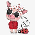 Cute Pig with sun glasses