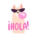 Cool cartoon style llama in sunglasses inflates a bubble of pink gum with hola sign Royalty Free Stock Photo