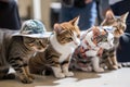 cool and casual feline fashion show with models showcasing cat-sized hats and sunglasses