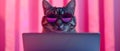 Cool Cat Coding in Cyber Style. Concept Cyberpunk Cat, Coding Adventures, Futuristic Feline,
