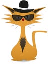 Cool Cat