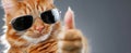 The cool cat giving a thumbs-up in stylish sunglasses..AI generated image Royalty Free Stock Photo